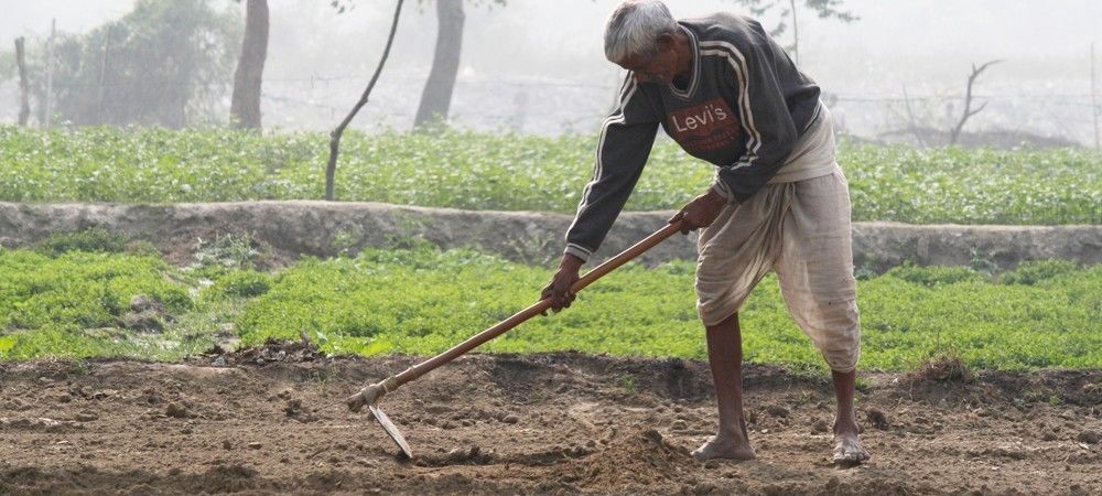सीतापुर के किसानों ने शुरू की ‘फावड़ा कृषि पद्धति’ 