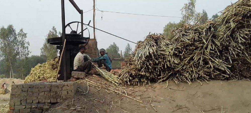चीनी आयात के फैसले को निरस्त करे सरकार- भारतीय किसान यूनियन