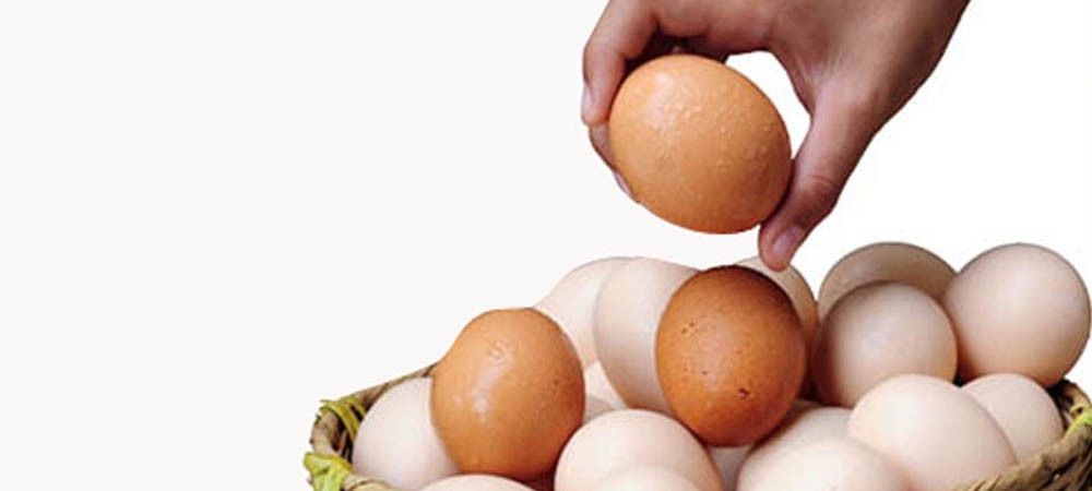 मुर्गी को अलसी खिलाएं, महंगे बिकेंगे अंडे 