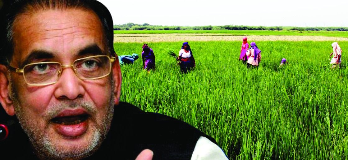 कृषि मंत्री राधा मोहन सिंह का लेख-  कृषि के 7 दशक और 2022 तक किसानों की आमदनी दोगुना करने का लक्ष्य