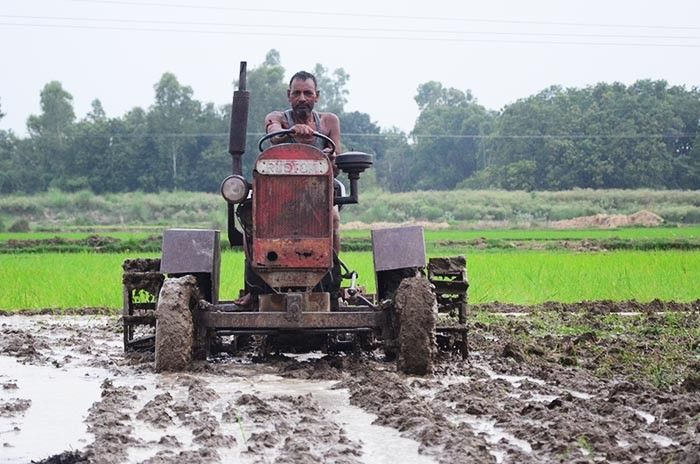 भारत, अमेरिका 17 देशों को सिखाएगा खेती में आय बढ़ाने का तरीका