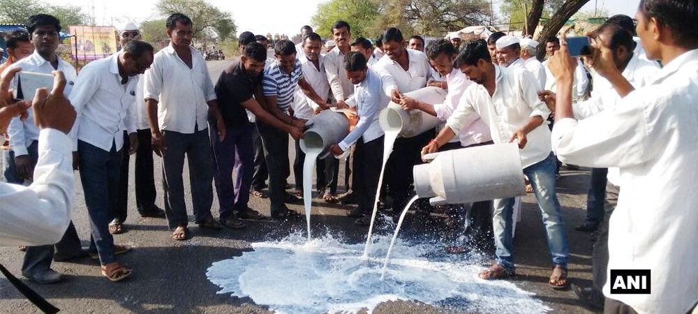 महाराष्ट्र : गुस्साए किसानों ने सैकड़ों लीटर दूध सड़क पर बहाया, शुरू की अनिश्चितकालीन हड़ताल