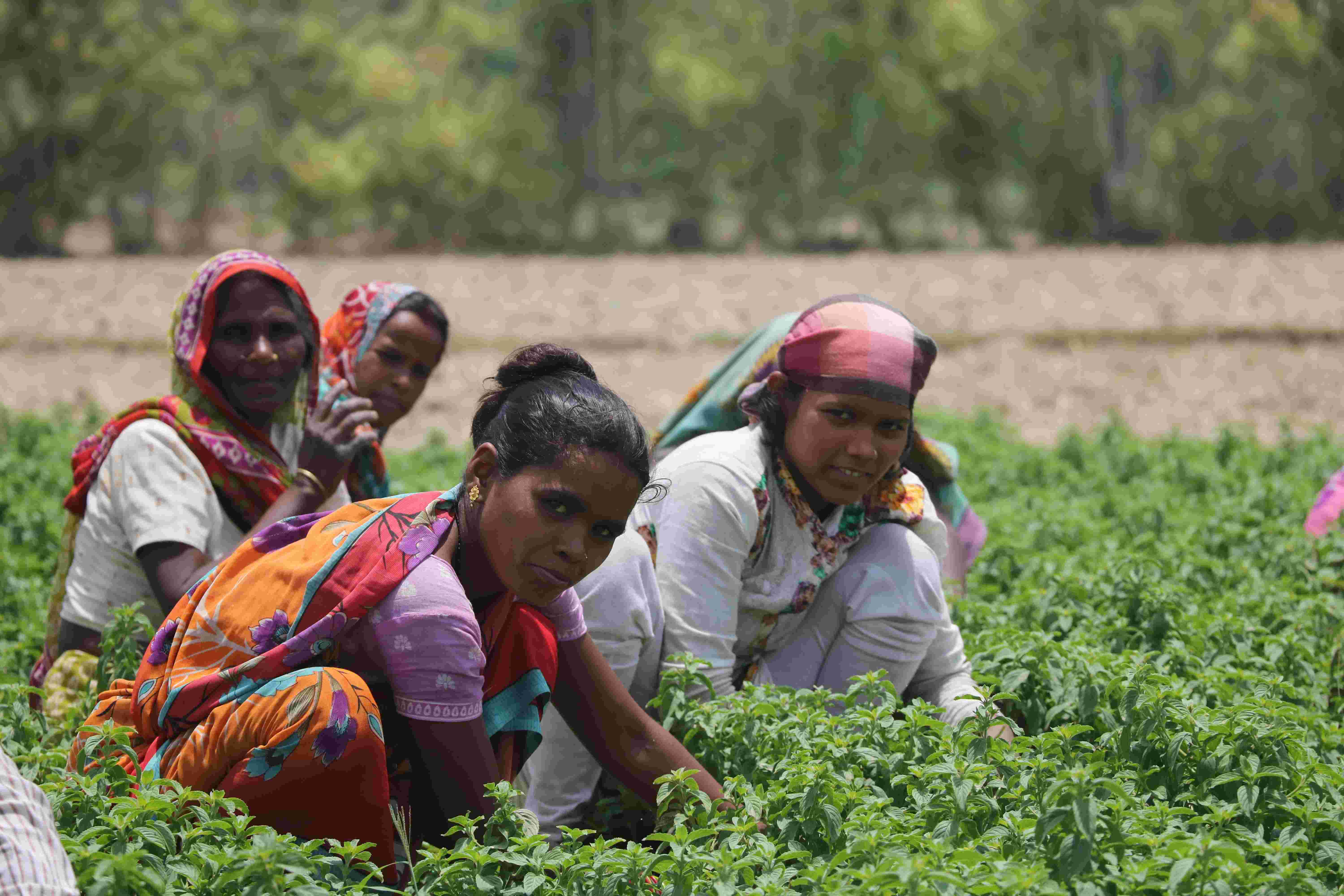 इन महिला किसानों ने बनायी अपनी अलग पहचान