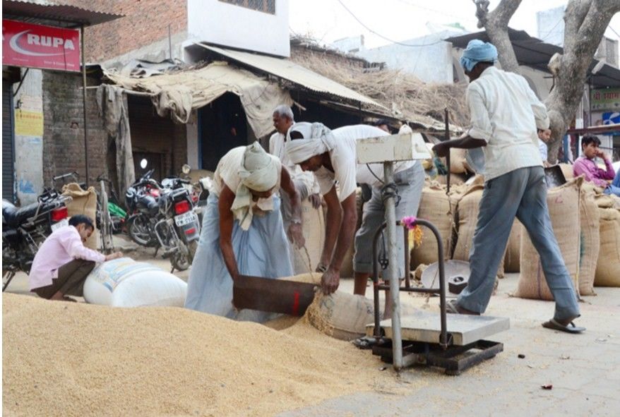 केंद्र ने पंजाब में गेहूं खरीद के लिए 17,994 करोड़ रुपये की नकद ऋण सीमा जारी किया