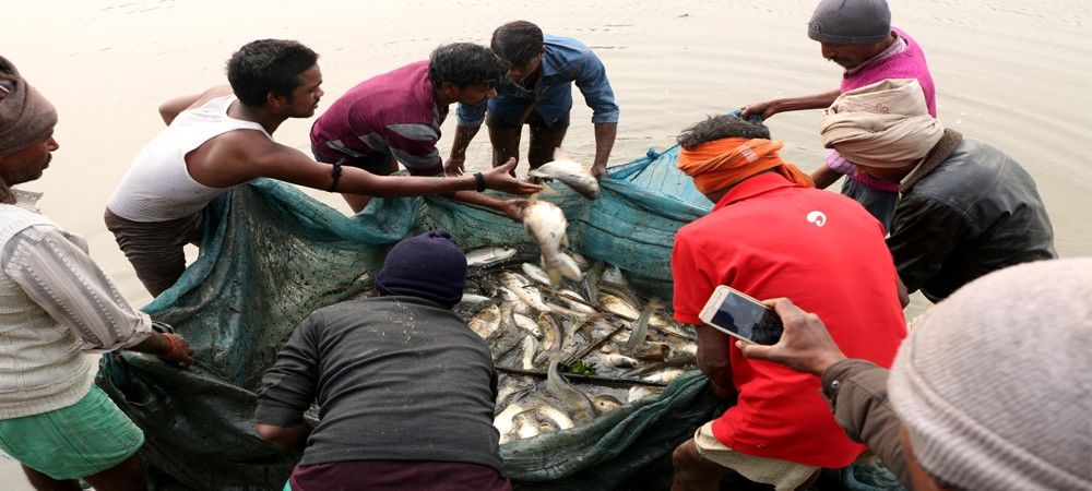 श्रीलंकाई नौसेना से तमिलनाडु के 18 मछुआरों को मिली रिहाई     