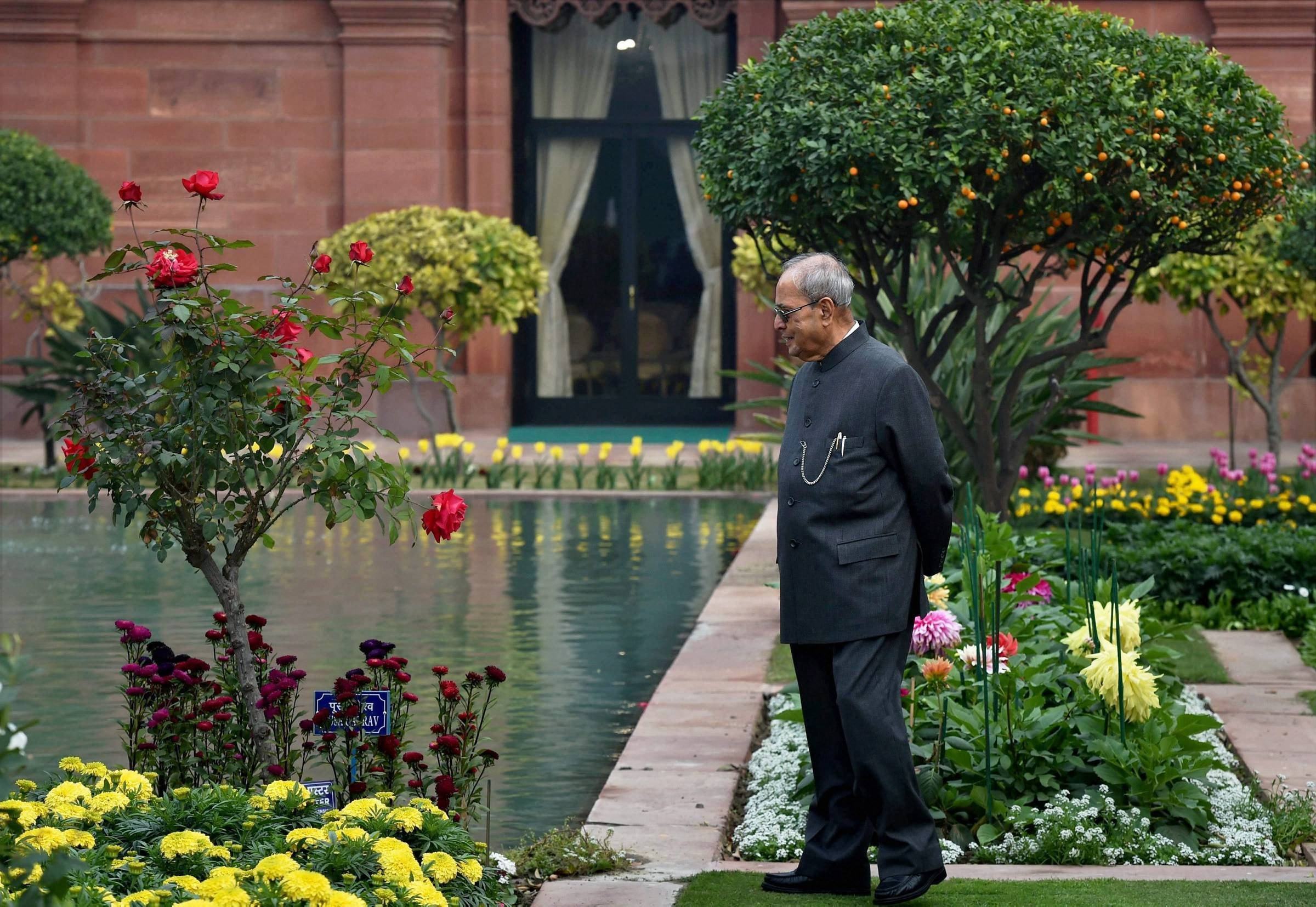 तस्वीरों में देखिए राष्ट्रपति भवन के मुगल गार्डन में फूलों की मनमोहक छटा