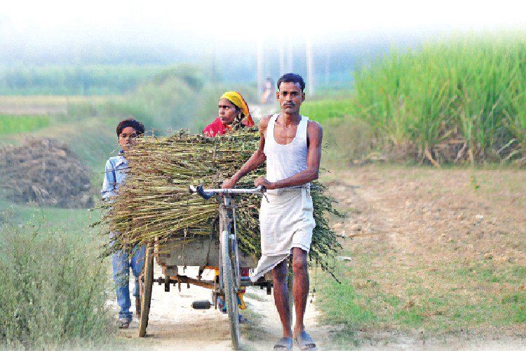ग्रामीण अर्थव्यवस्था को अधिक बजट आवंटन से एफएमसीजी की बढ़ेगी मांग 