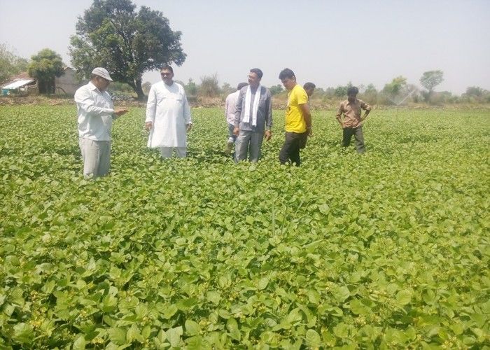 मध्यप्रदेश के ताराचन्द्र किसानों को दे रहे जैविक खेती की सीख