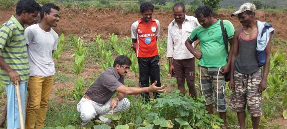 आदिवासी क्षेत्रों में कृषि को मिलेगा बढ़ावा, भारतीय कृषि विभाग ने शुरू की कई योजनाएं