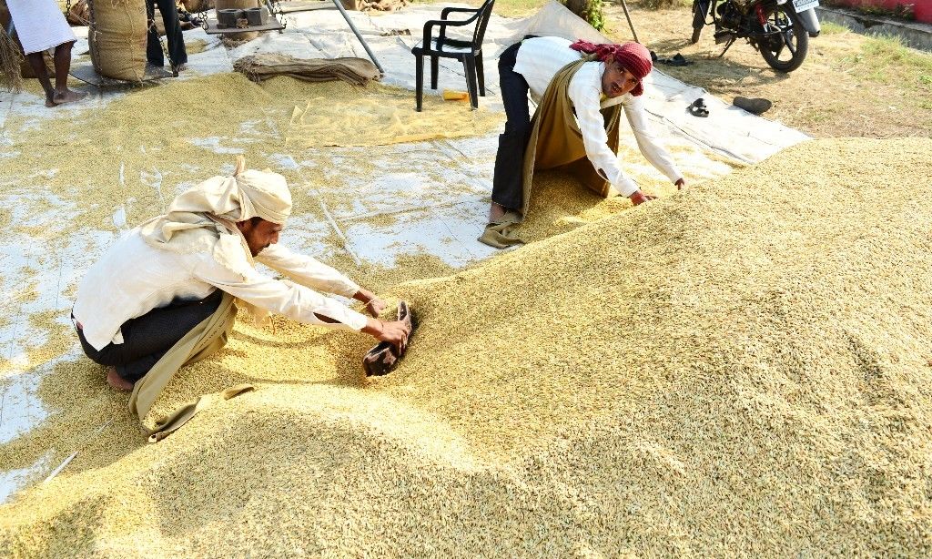 मांग बढ़ने से बीते सप्ताह चावल बासमती, गेहूं कीमतों में तेजी जारी