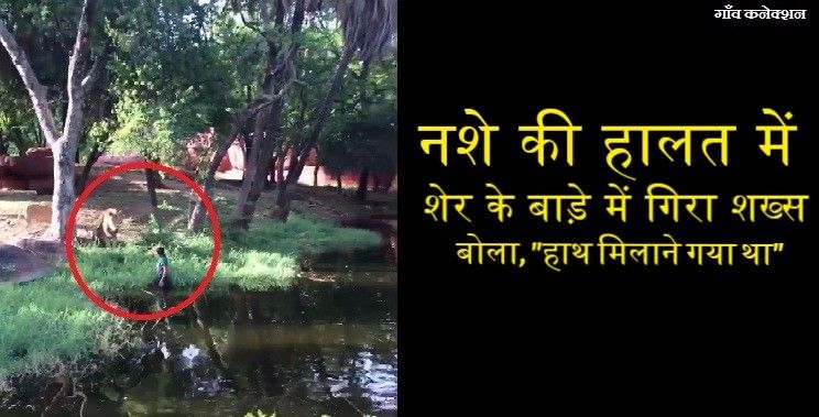 वीडियो : हैदराबाद के ज़ू में एक शराबी शख़्स का अजब कारनामा
