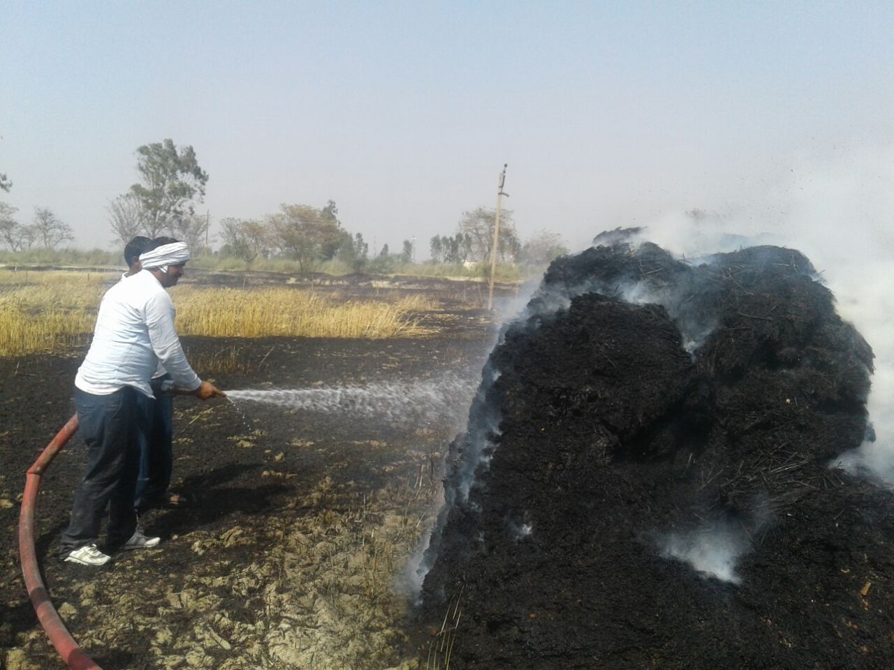 हाईटेंशन लाइन से उन्नाव में तबाही, तार टूटकर गिरने से 8 गांवों की 600 बीघा फसल जली