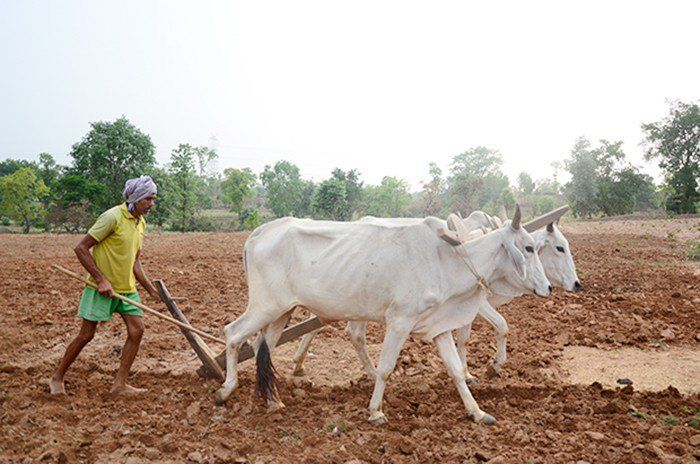 आम बजट में कृषि क्षेत्र के लिए रिकार्ड 10 लाख करोड़ रुपए का ऋण उपलब्ध कराने का लक्ष्य       