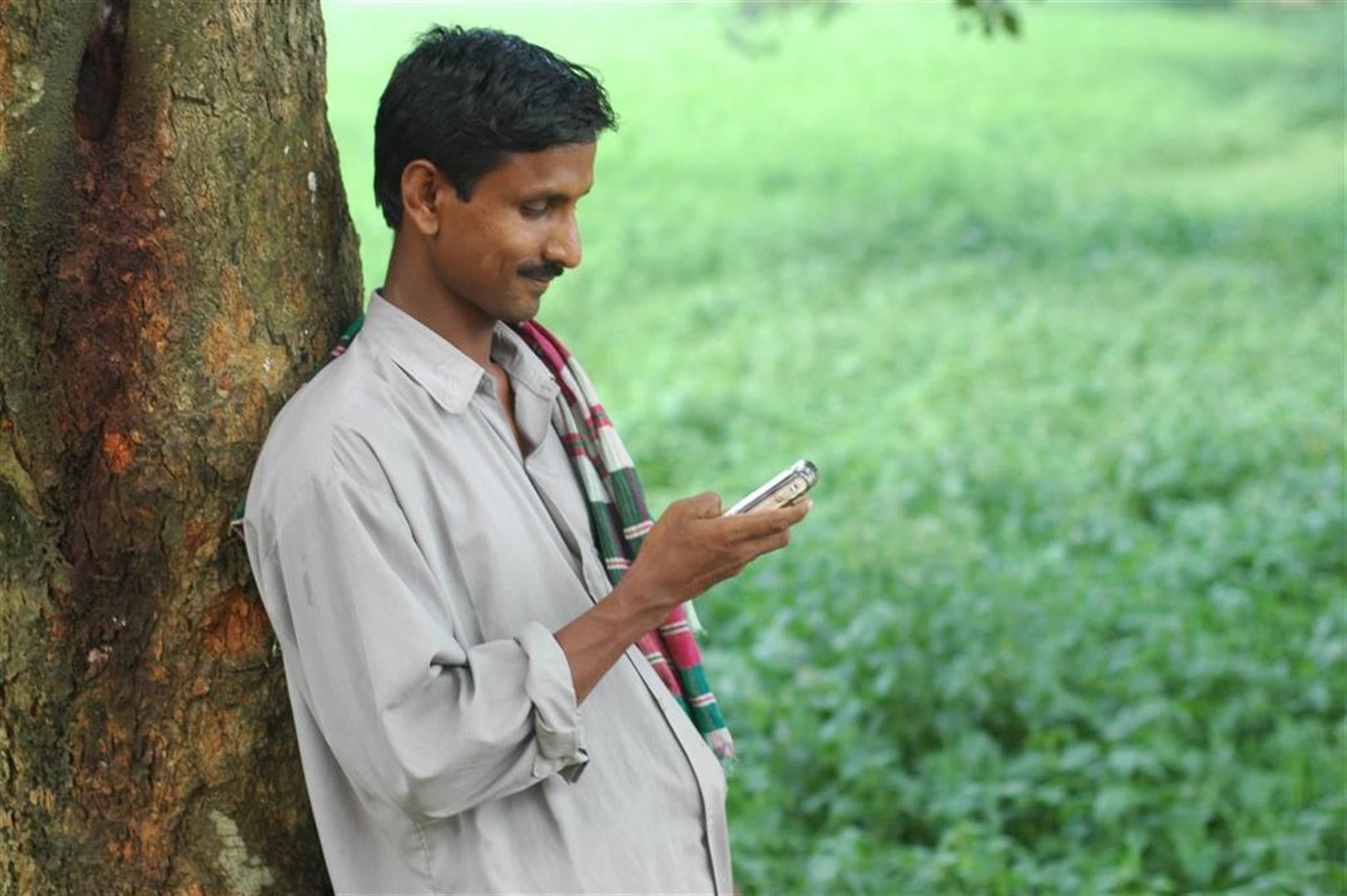 धान खरीद में किसानों को दी जा रही सुविधाओं की जानकारी एसएमएस से देने का निर्देश   