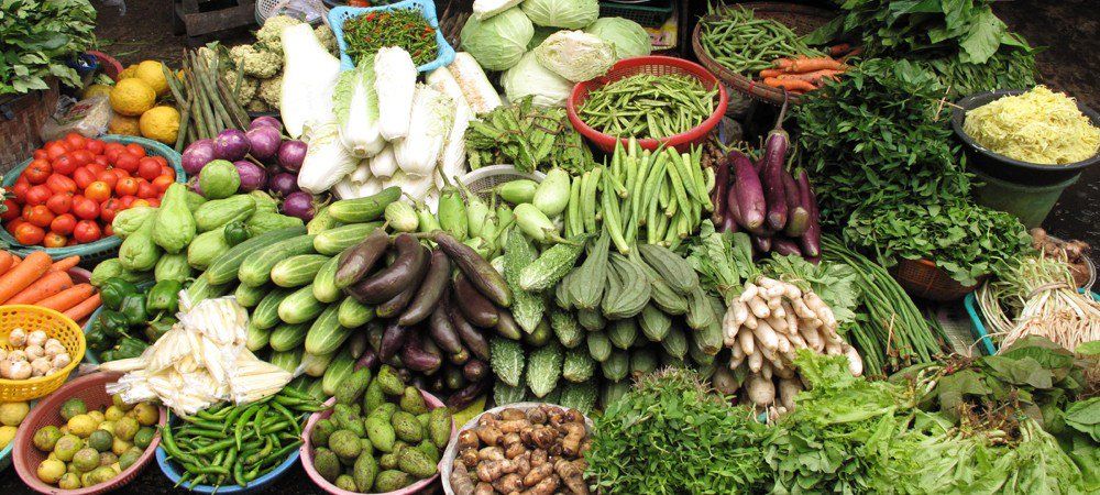 सब्जियों की कमी से जूझ रहे सिक्किम में बढ़ेगी जैविक सब्जियों की खेती