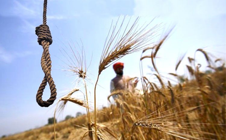 चुनावी रैली की भेंट चढ़ी किसानों की 60 बीघे की फसल, नहीं मिला मुआवजा