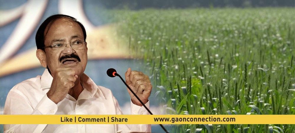 उपराष्ट्रपति ने खेती को लाभकारी बनाने के लिए दिये 12 सुझाव