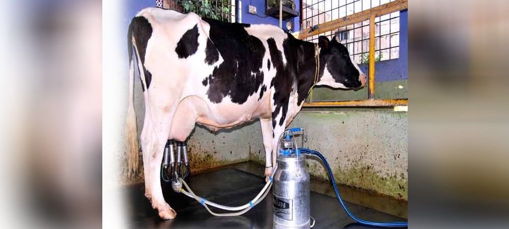 दूध दुहने की ये मशीन सफाई का रखेगी विशेष ध्यान