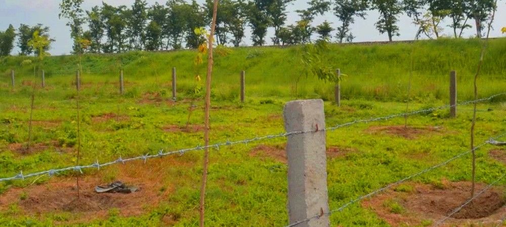 यूपी में 8,038 हेक्टेयर सरकारी भूमि को भू-माफिया से मुक्त कराया गया