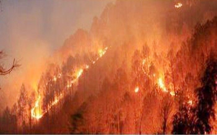 उत्तराखंड के जंगलों में फिर भड़की आग
