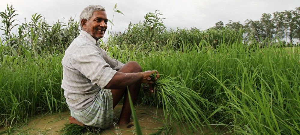 यूपी सरकार किसानों को कर रही सावधान, खेती को राहु-केतु करते हैं परेशान