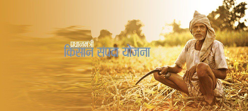 प्रधानमंत्री किसान संपदा योजना से 2020 तक 20 लाख किसानों को मिलेगा लाभ