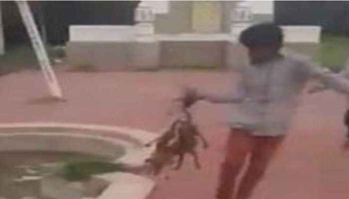 हैदराबाद में कुत्ते के बच्चों को जिंदा जलाने वाले नाबालिग गिरफ्तार