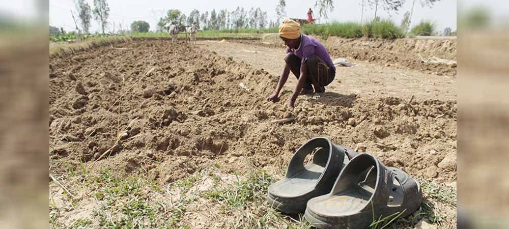 केंद्र ने दिया खेतिहर मजदूरों को दिवाली का तोहफा, चिंता में आए बड़े किसान