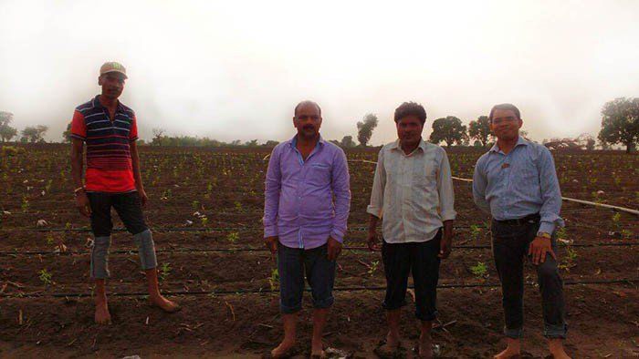 सोशल मीडिया से किसान साझा कर रहे खेती के गुर