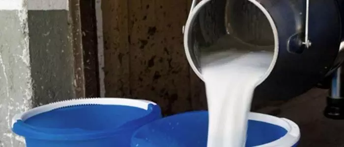 Verghese Kurien made India, the world's largest milk-producing country