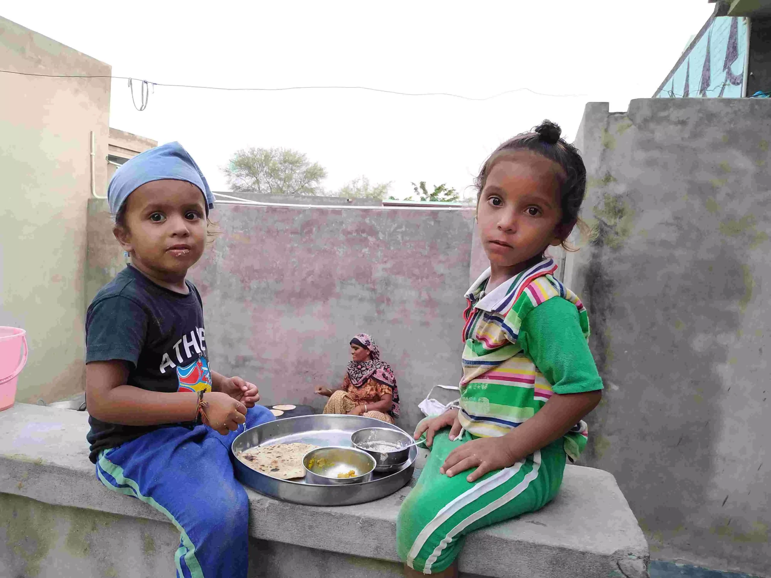 Many families in Punjab have adopted organic farming to prevent their children from eating toxic vegetables