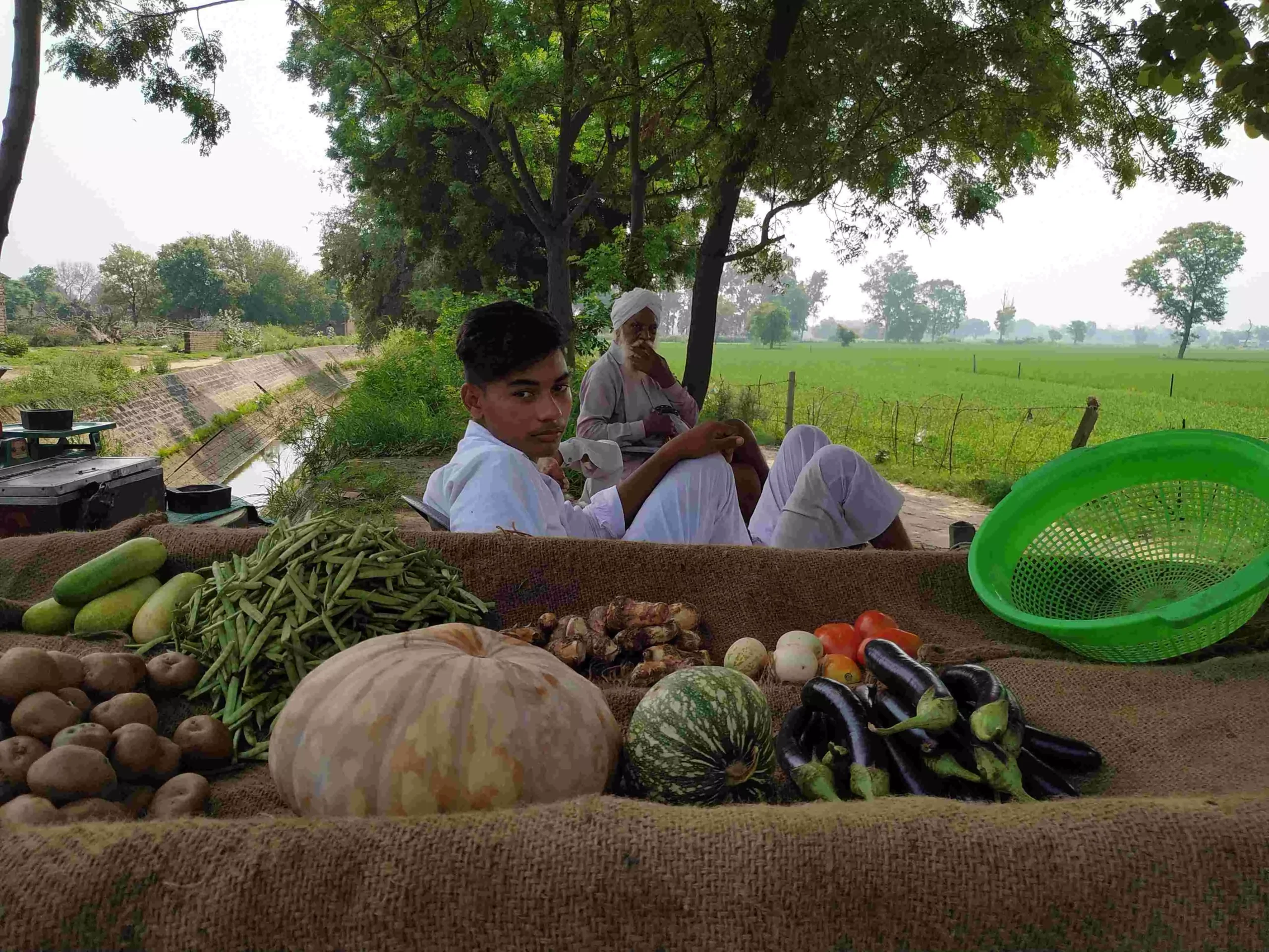 Many people in Punjab grow their own vegetables and sell them