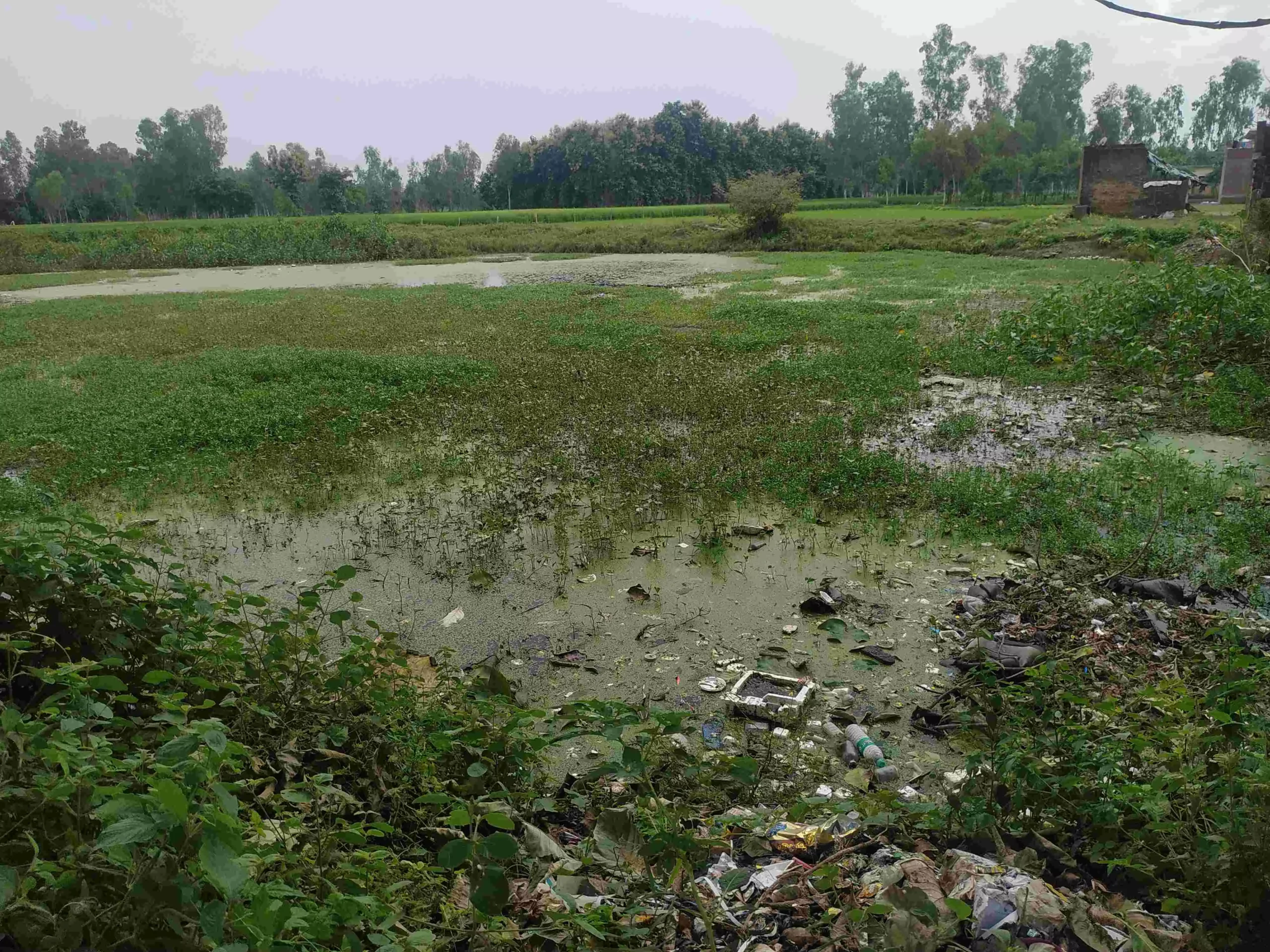 Every year, the ponds in Karnatka dry up by the end of October. 