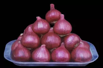 भीमा गहरा लाल प्याज। फोटो साभार https://icar.org.in/hi/node/322