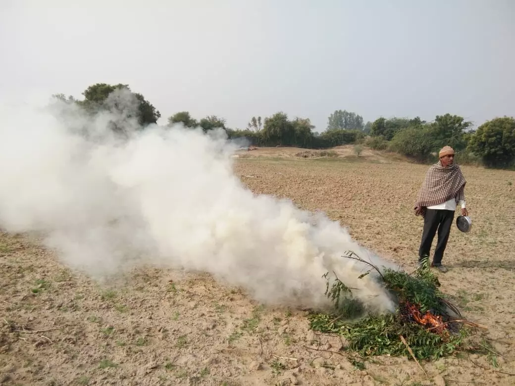 Desperate farmers are using different methods, including burning of tyres, to ward off locust attack. Desperate farmers are using different methods, including burning of tyres, to ward off locust attack.