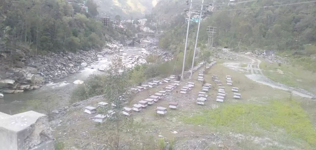 भीम सिंह नेगी के कुछ बॉक्स अभी हिमाचल प्रदेश में हैं।