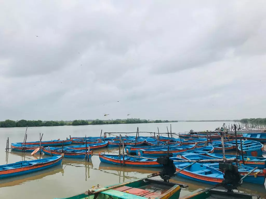 भारत के पूर्वी तट पर मछली पकड़ने पर वार्षिक प्रतिबंध 15 अप्रैल से 14 जून तक लागू होता है, जबकि पश्चिमी तट पर यह प्रतिबंध 1 जून से 31 जुलाई तक का है। फोटो साभार- निधि जम्वाल भारत के पूर्वी तट पर मछली पकड़ने पर वार्षिक प्रतिबंध 15 अप्रैल से 14 जून तक लागू होता है, जबकि पश्चिमी तट पर यह प्रतिबंध 1 जून से 31 जुलाई तक का है। फोटो साभार- निधि जम्वाल