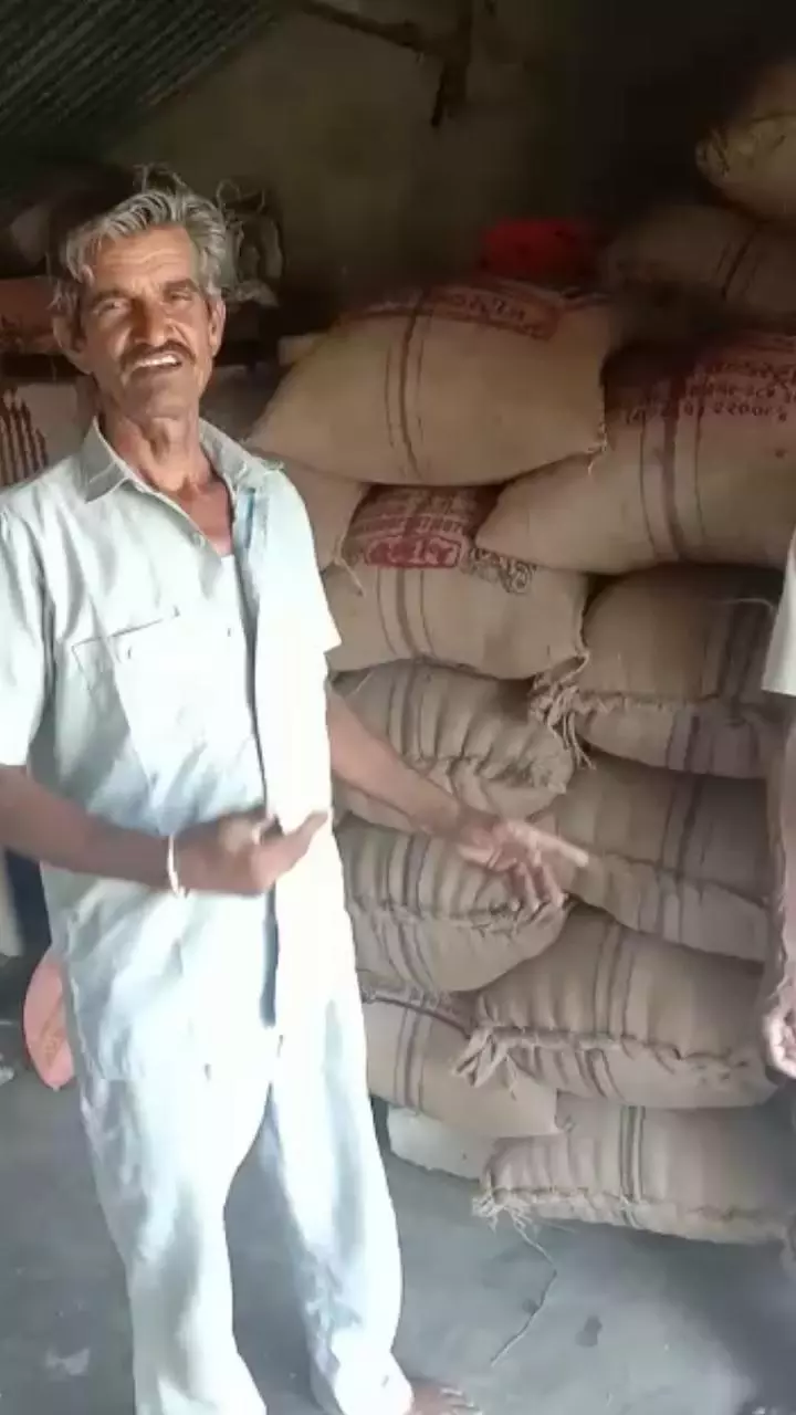 जालोर जिले के मनोहर गाँव के गंगाराम बिश्नोई के पास 45 कुंतल जीरा है, जिसे अभी कोई खरीदने वाला नहीं है। वह अपने गेहूं, अरंडी और ईसबगोल की फसल भी नहीं बेच पाए हैं। साभार: शैतान सिंह विश्नोई जालोर जिले के मनोहर गाँव के गंगाराम बिश्नोई के पास 45 कुंतल जीरा है, जिसे अभी कोई खरीदने वाला नहीं है। वह अपने गेहूं, अरंडी और ईसबगोल की फसल भी नहीं बेच पाए हैं। साभार: शैतान सिंह विश्नोई