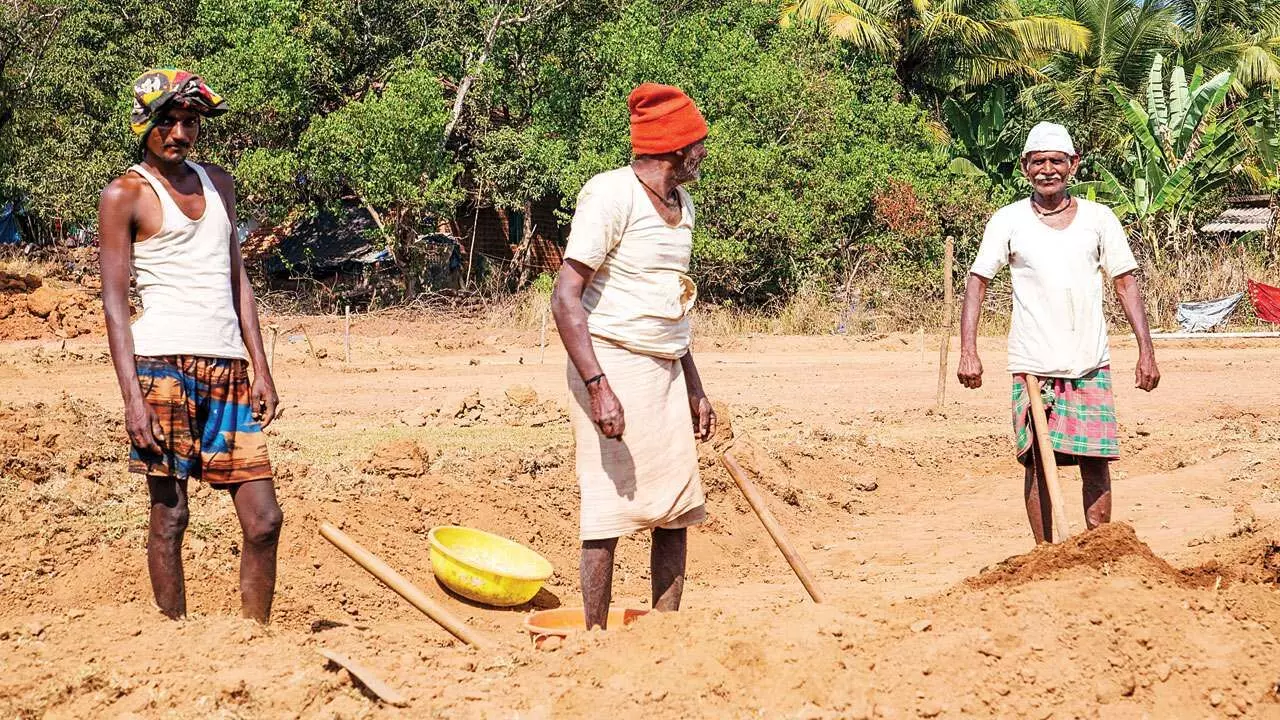 लॉकडाउन के दौरान गावों में मजदूर ज्यादा और काम काम दिन मिलने से बढ़ी मजदूरों की मुश्किलें।