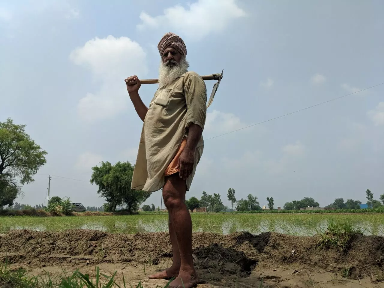 इस अध्यादेश के तहत केंद्र सरकार 'एक देश, एक कृषि मार्केट' बनाने की बात कह रही है। फोटो : गाँव कनेक्शन