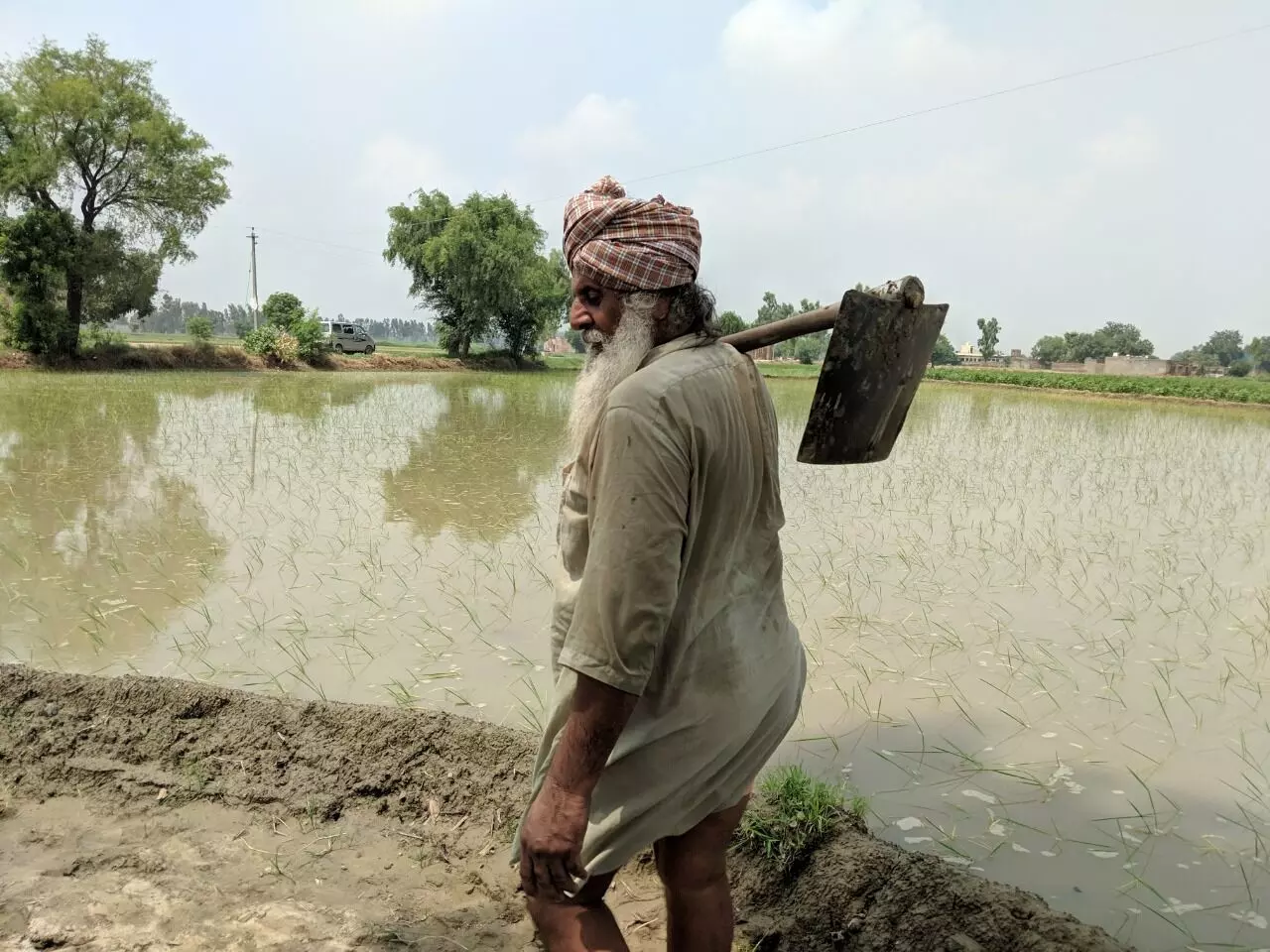 इस अध्यादेश के तहत कॉन्ट्रैक्ट फार्मिंग को बढ़ावा दिया जाएगा जिसमें बड़ी-बड़ी कम्पनियाँ खेती करेंगी और किसान उसमें सिर्फ मजदूरी करेंगे। फोटो : गाँव कनेक्शन