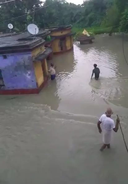 स्थानीय लोगों का दावा है कि सारण तटबंध के टूटने के कारण कम से कम 500 गांव प्रभावित हुए हैं. फोटो: नीलू कुमारी स्थानीय लोगों का दावा है कि सारण तटबंध के टूटने के कारण कम से कम 500 गांव प्रभावित हुए हैं. फोटो: नीलू कुमारी
