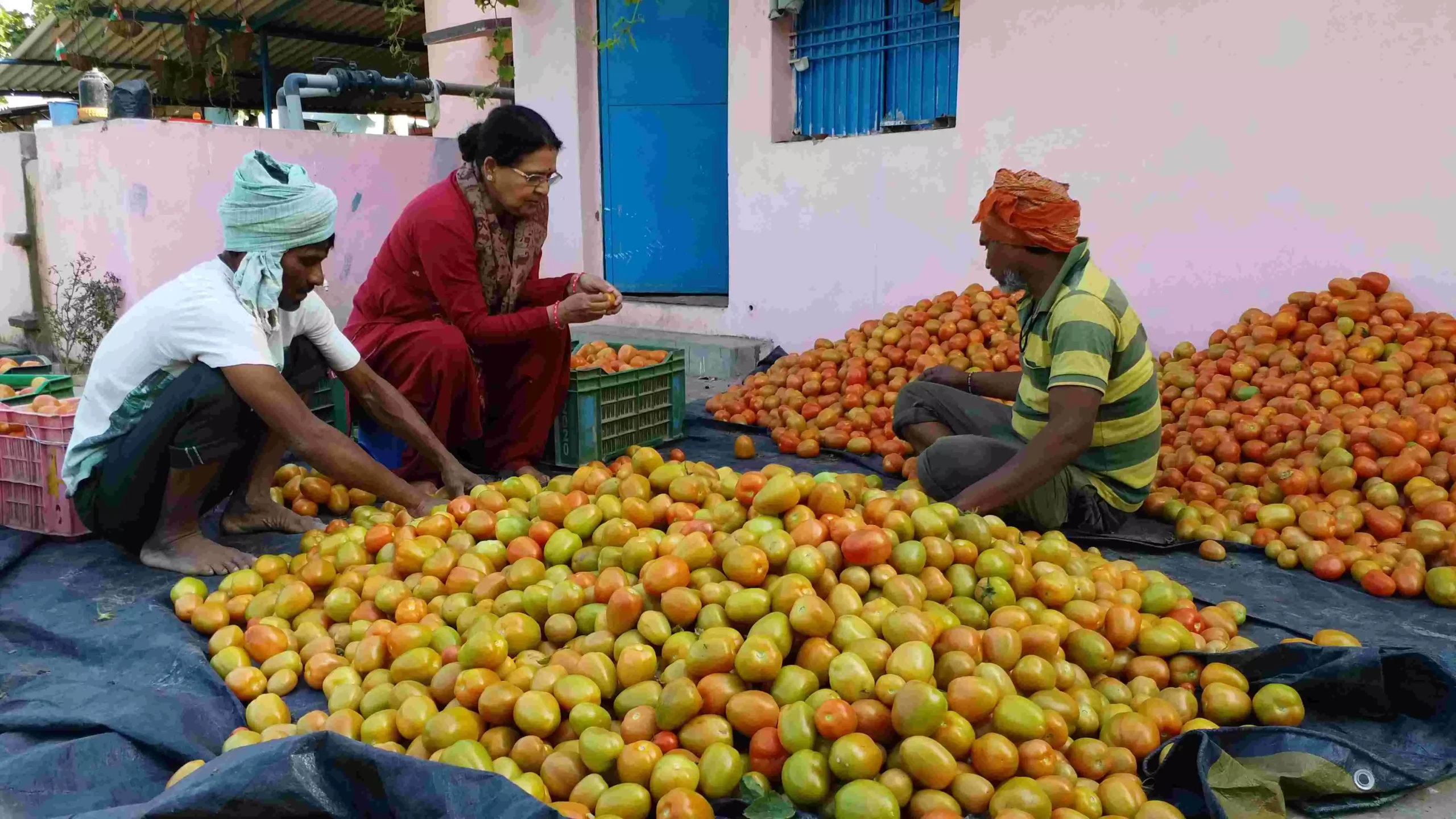 कनकलता ने दूसरे कई लोगों को भी रोजगार दिया है। फोटो: बृजेन्द्र दुबे