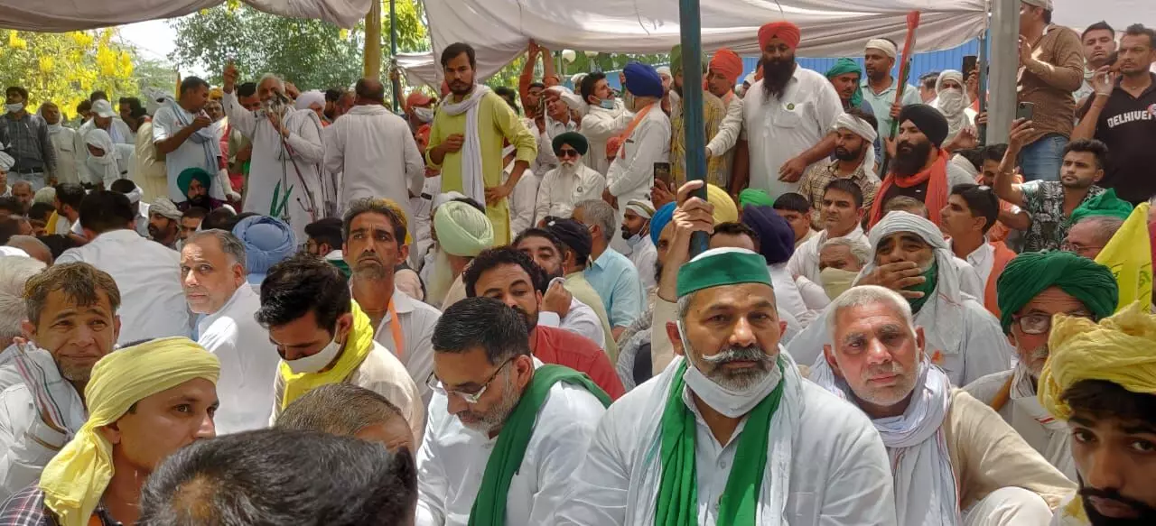 किसानों के बड़े नेता बनकर उभरे राकेश टिकैत। फोटो- अरेंजमेंट