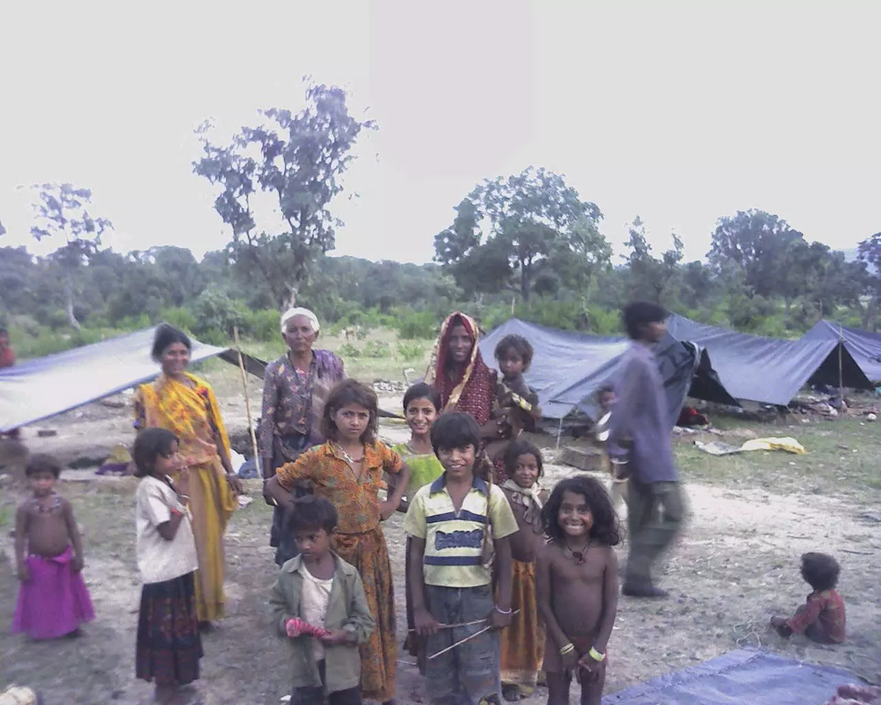 कुछ साल पहले तक जंगलों के आसपास ऐसे रहते थे पारधी समुदाय के लोग। फाइल फोटो-अरुण सिंह