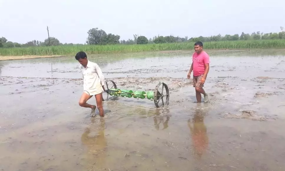 ड्रम सीडर मशीन से धान की बुवाई करते किसान। फोटो- गांव कनेक्शन
