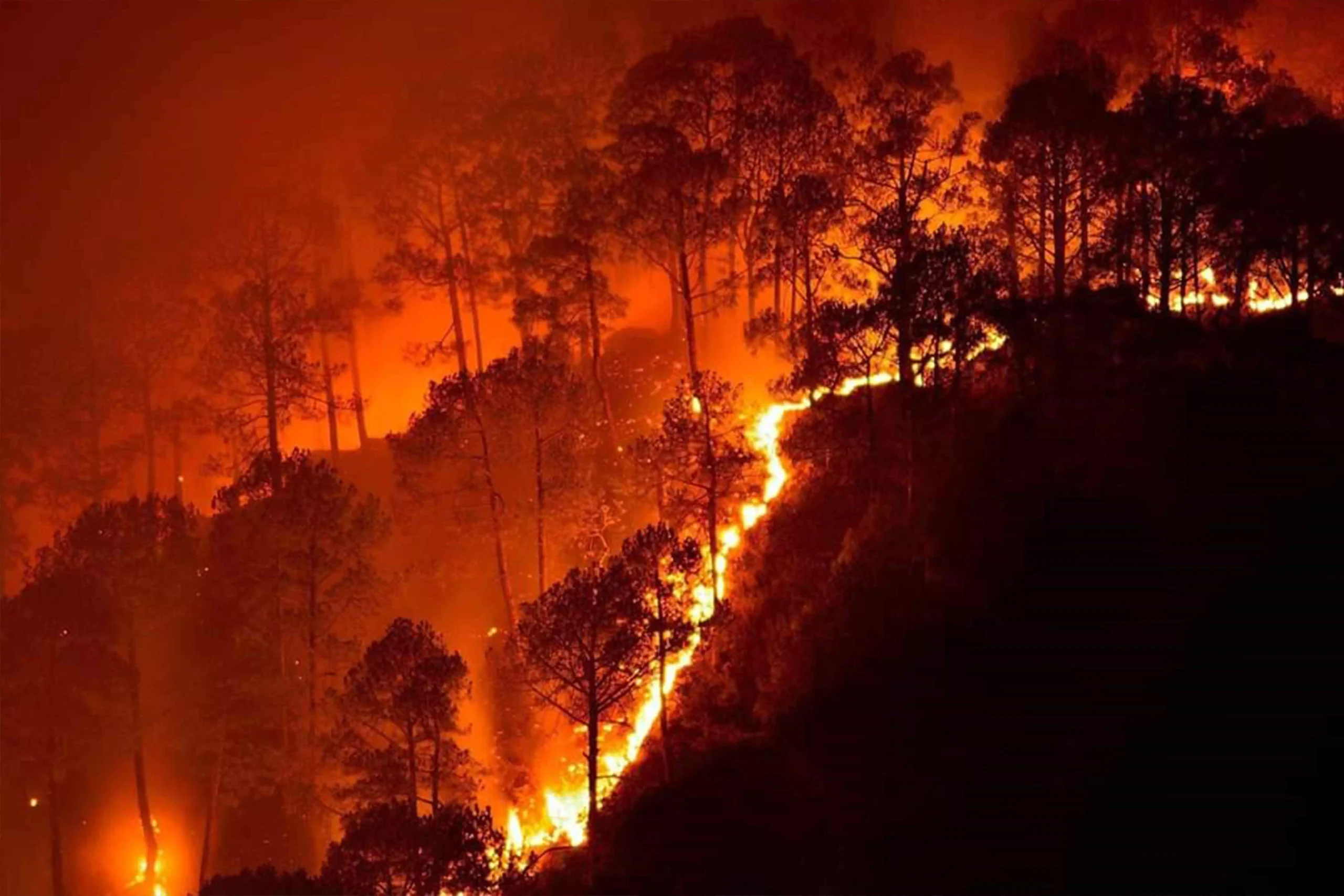 (फोटोः विकिमीडिया कॉमन्स)