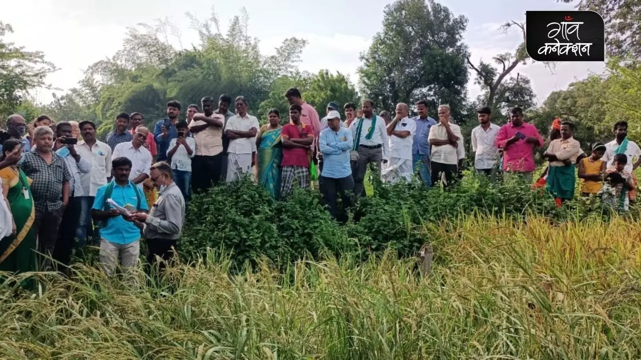 बीज संरक्षण के प्रयासों के तहत, धान विशेषज्ञों की टीमों ने गांवों का दौरा किया और देशी अनाज, उनके विशेष गुणों और वे क्यों फायदेमंद हैं, इस बारे में बात की।