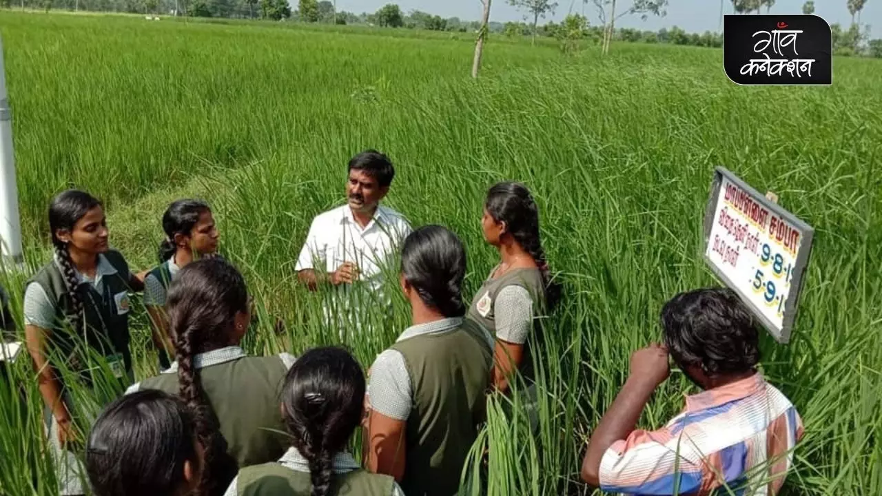 यह अनोखा बीज उत्सव 15 साल पहले शुरू हुआ था और पहले ही राज्य में 150 से अधिक पारंपरिक धान की किस्मों को पुनर्जीवित करने में कामयाब भी रहा।