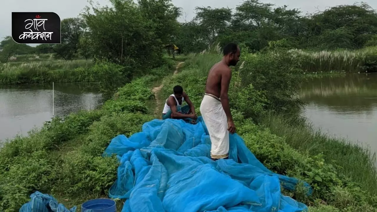 वित्तीय वर्ष 2020-21 योजनाओं के संचालन के लिए 105.24 करोड़ रुपए का बजट का प्राविधान था, जो वित्तीय 2021-22 में बढ़ा कर 271.03 करोड़ रुपए का कर दिया गया है। फोटो दिवेंद्र सिंह